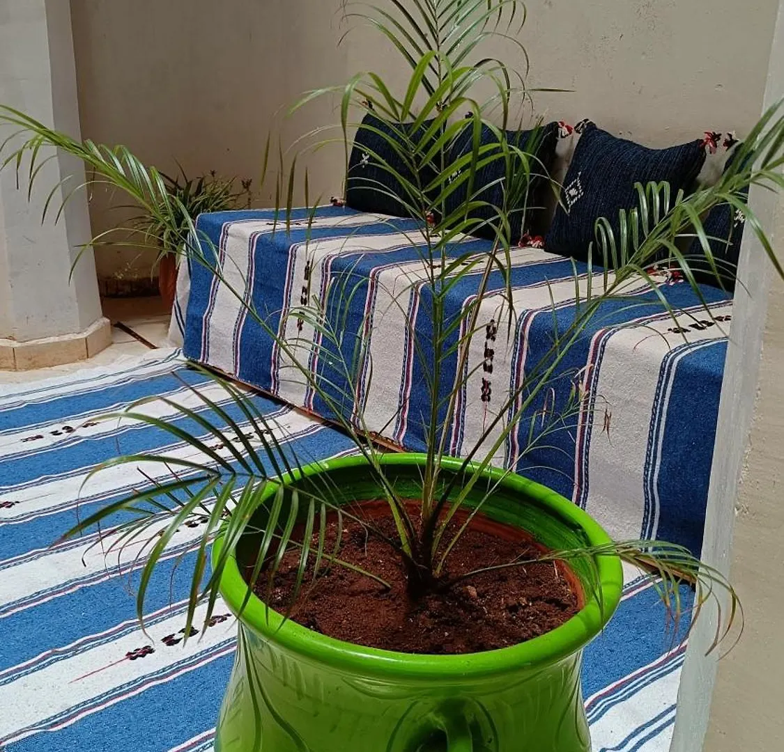 Tatil Evi Riad Ayoub Fès Fas